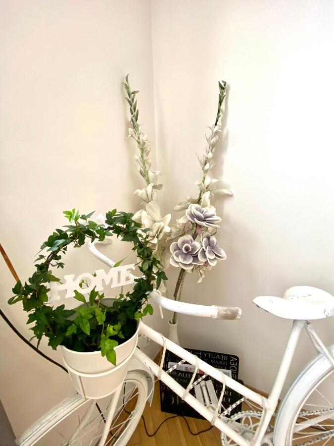 Fantastic Apartment In The City Center 프라하 외부 사진